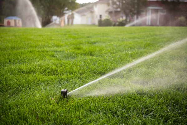 Efficient lawn irrigation system repair