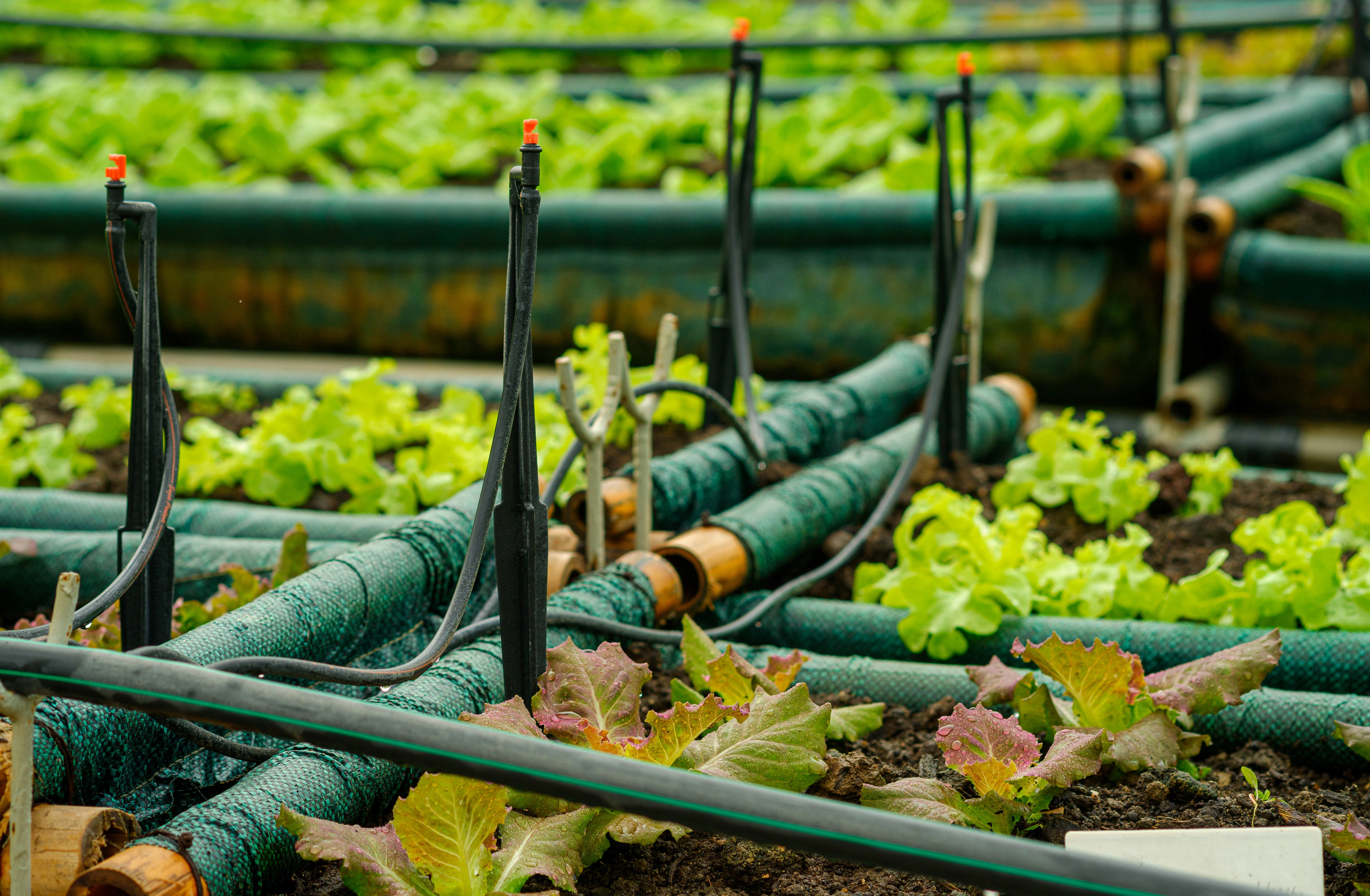 Professional irrigation system installation in Vancouver WA landscape