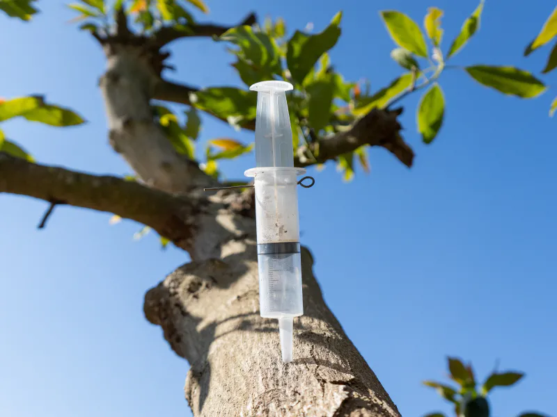 Repair service image